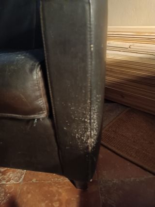 Juego de dos sillones de piel de diseño