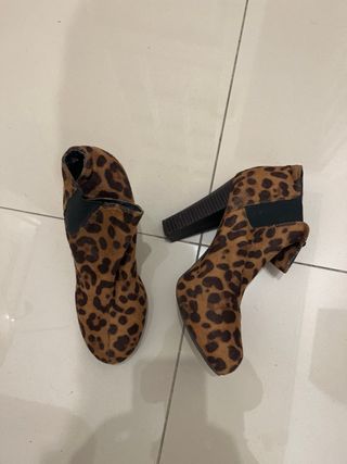 Botines LEOPARDO Steve Madden