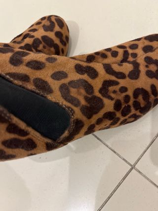 Botines LEOPARDO Steve Madden