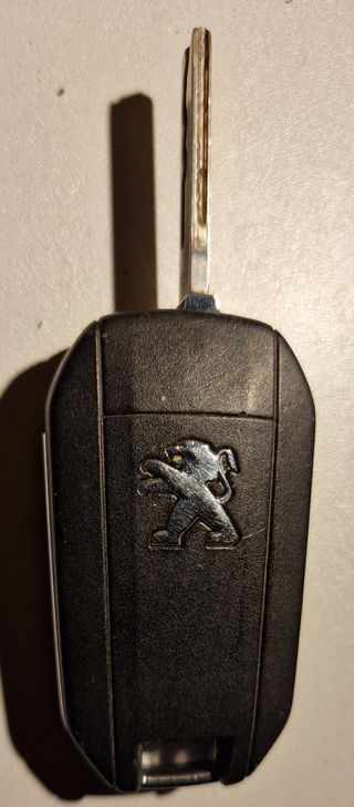 Mando a istancia para Peugeot