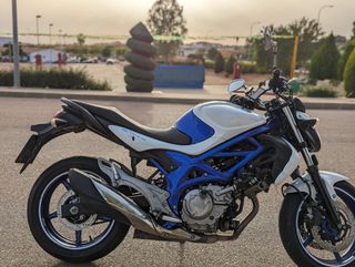 Moto Suzuki Gladius 650 SFV