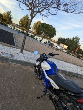 Moto Suzuki Gladius 650 SFV