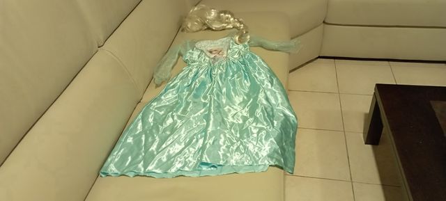 Costume di carnevale Frozen Disney