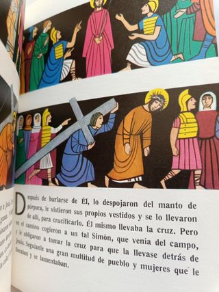 Biblia en colores