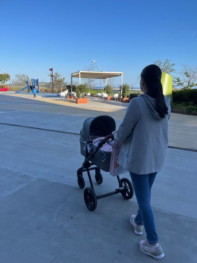 Carro Jané Muum 2019 Gris 2 piezas