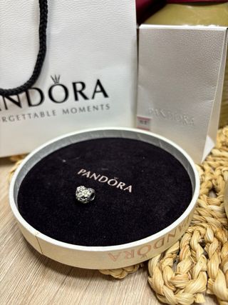 Charm pandora 