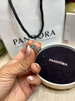 Charm pandora