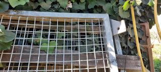 Portilla hierro galvanizado