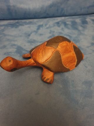 Tartarughe