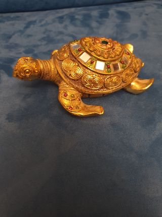 Tartarughe