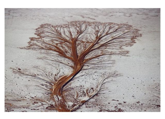 Documental DVD HUMAN