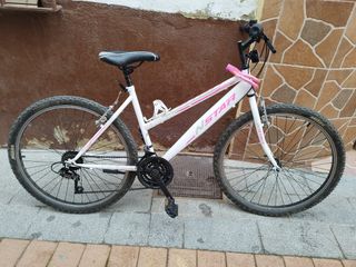 Bicicleta de montaña