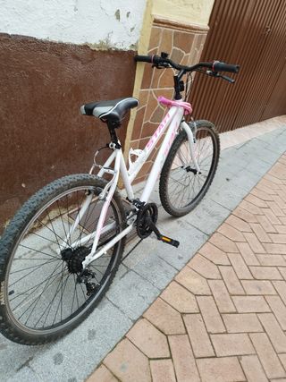Bicicleta de montaña