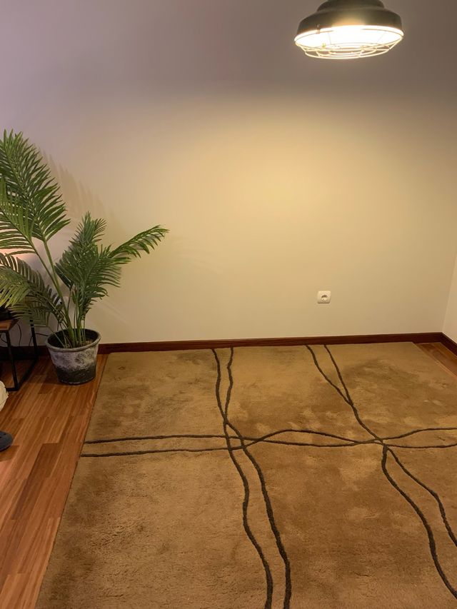 Tappeto in lana 200x300