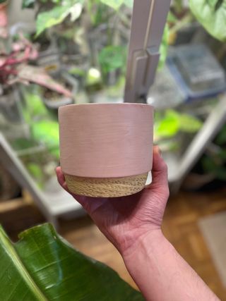 Maceta 11cm