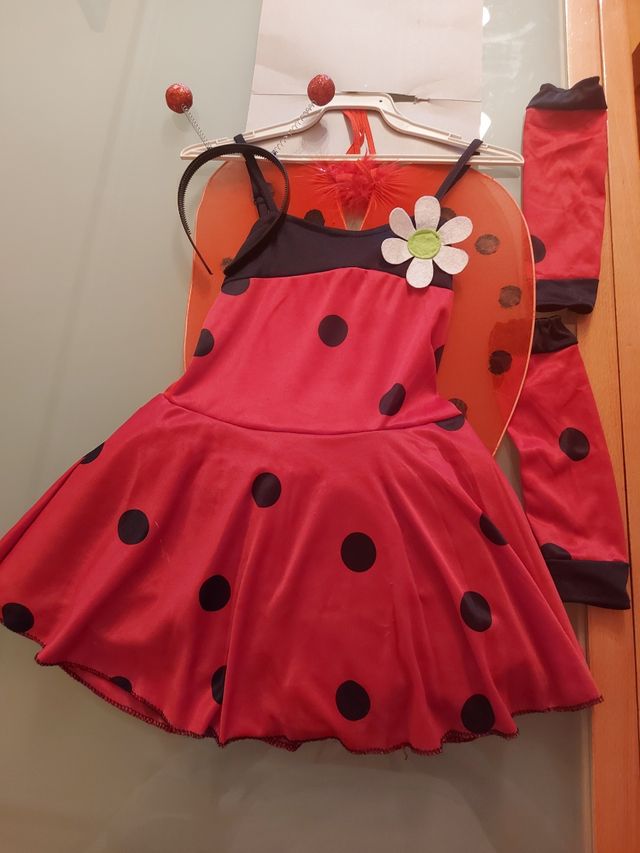 Disfraz de mariquita