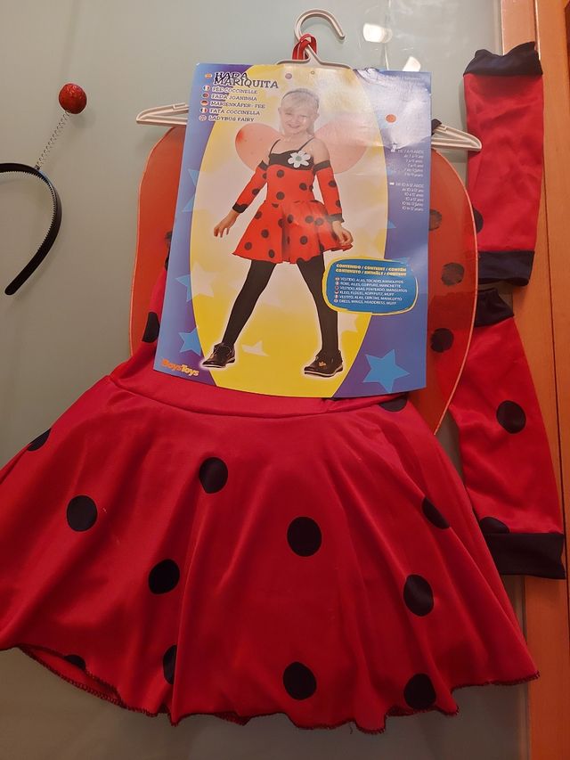 Disfraz de mariquita