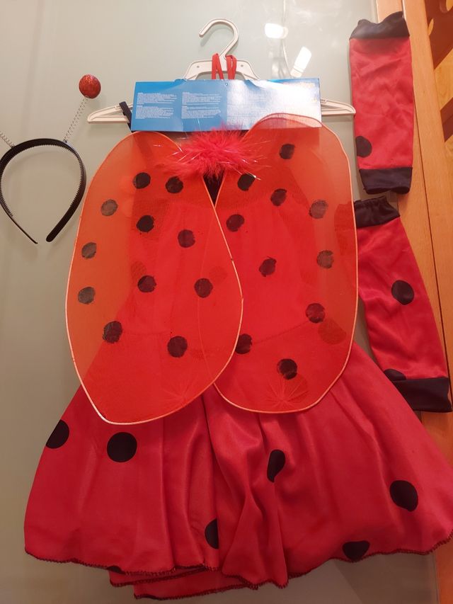 Disfraz de mariquita