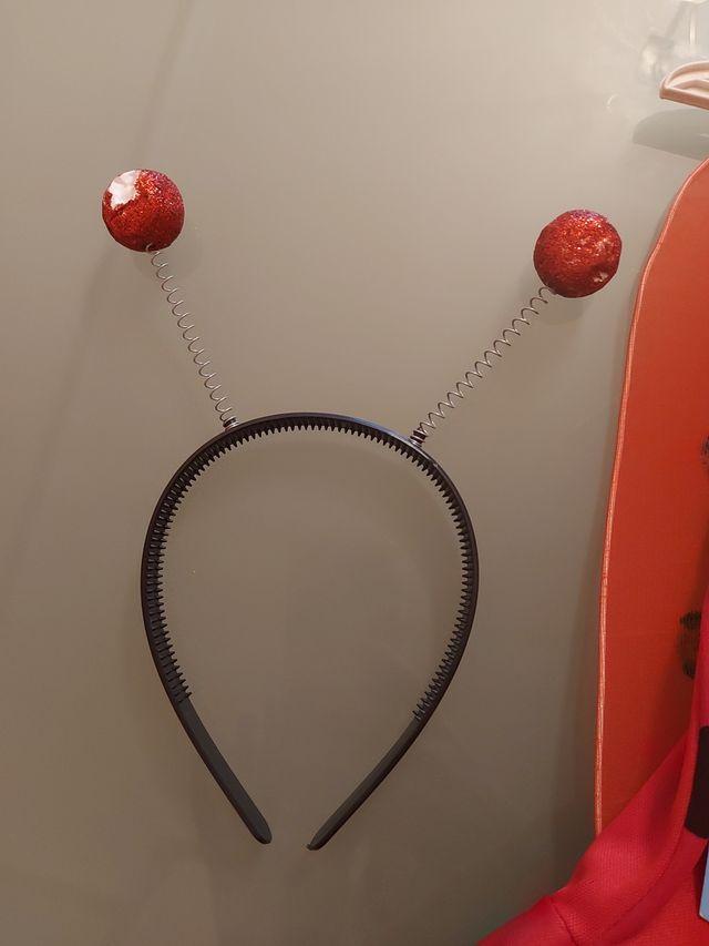 Disfraz de mariquita