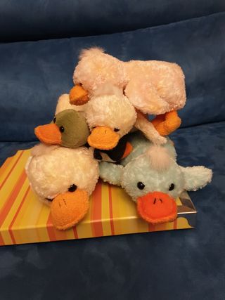5 Paperelle peluche