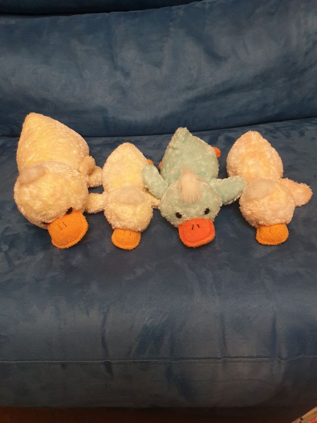 5 Paperelle peluche 