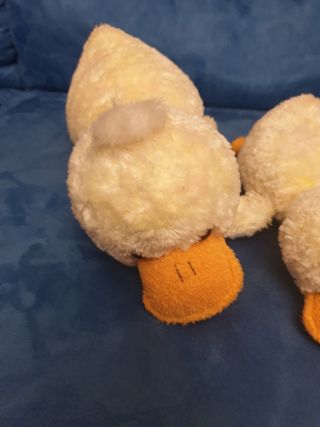 5 Paperelle peluche