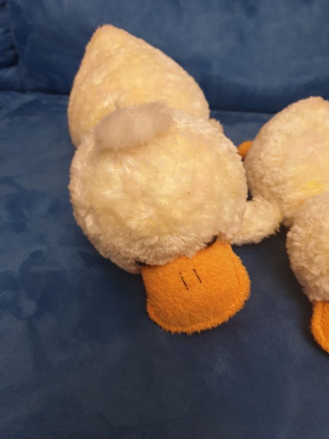 5 Paperelle peluche 
