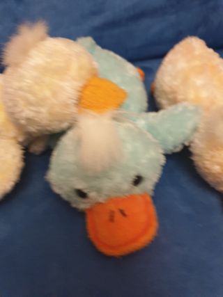 5 Paperelle peluche