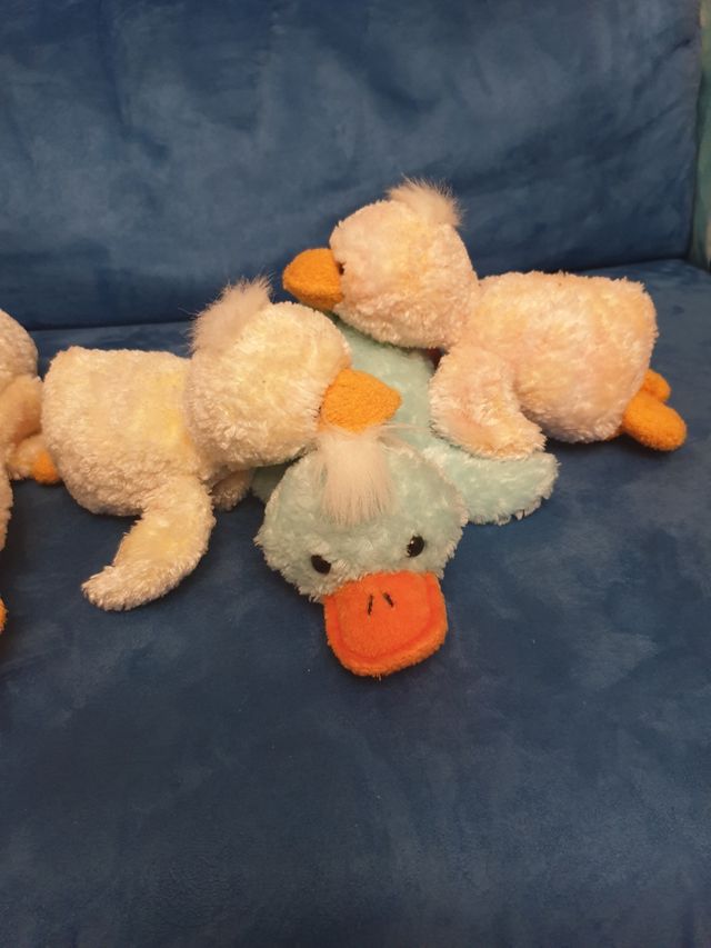 5 Paperelle peluche 