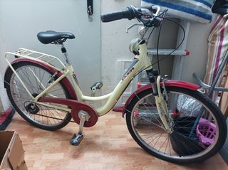 Bicicleta de paseo