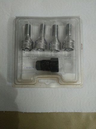 Tornillos Antirrobo  en acero inox