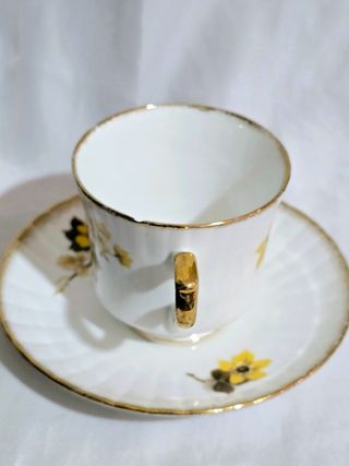 Taza de porcelana Inglesa Royal Stafford