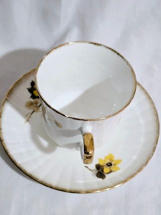 Taza de porcelana Inglesa Royal Stafford