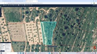 LOTE DE 3 FINCAS EN EL T.M. DE ALCALA DE XIVERT