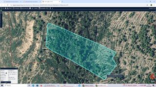 LOTE DE 3 FINCAS EN EL T.M. DE ALCALA DE XIVERT