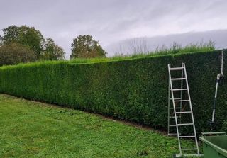 Jardinero economíco 