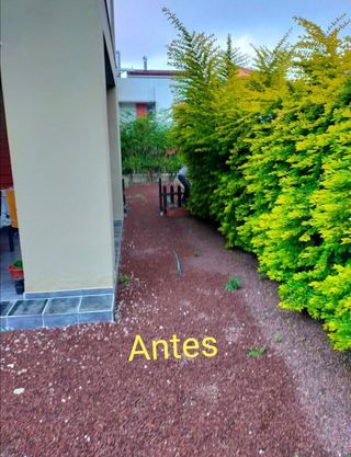 Servicio de jardinería económico 