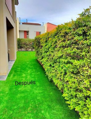 Servicio de jardinería económico 