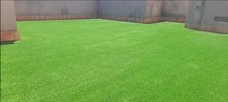 Servicio de jardinería económico 