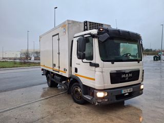 Camion Man tgl 8.180 frigorífico