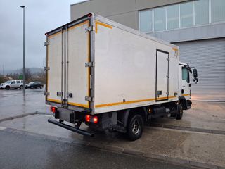 Camion Man tgl 8.180 frigorífico