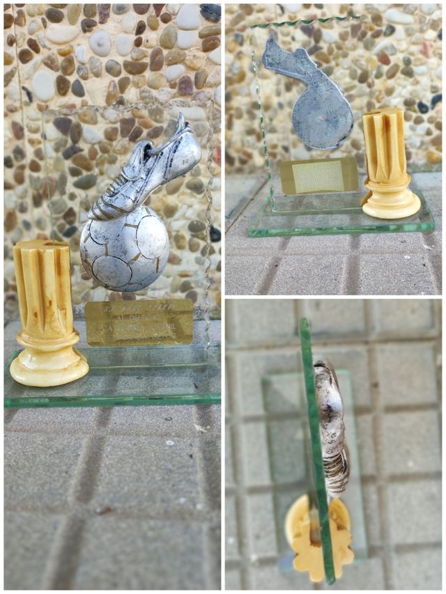 Variados de Trofeos 