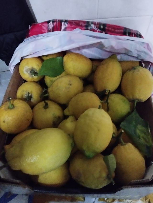 Limoni