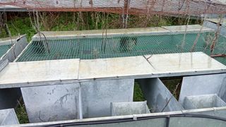 Jaulas cría perdiz 2m x 1.20