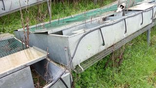 Jaulas cría perdiz 2m x 1.20