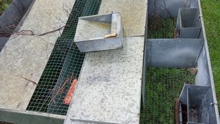 Jaulas cría perdiz 2m x 1.20