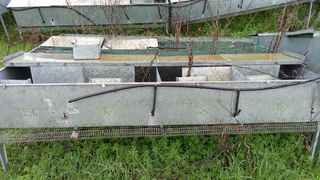 Jaulas cría perdiz 2m x 1.20