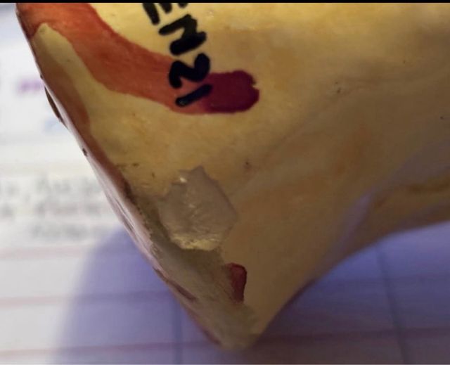 Pop Art  FULGENZI salvadanaio 1969