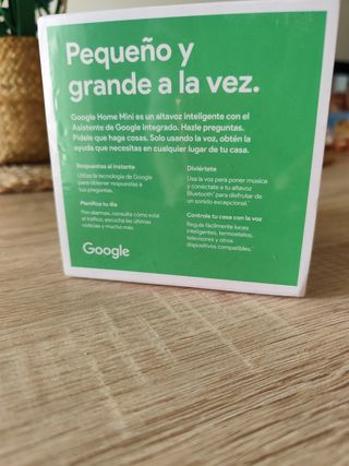 Google mini home