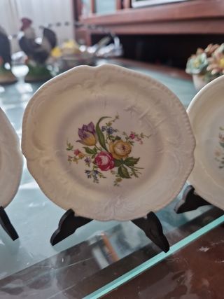 Piatti in porcellana tedesca Rosenthal